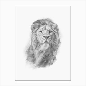 Lion Handrawn Black And White Canvas Print