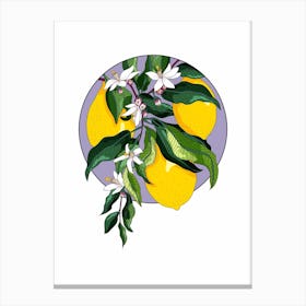 Circular Mofit Lemon Blossom Flowers Canvas Print