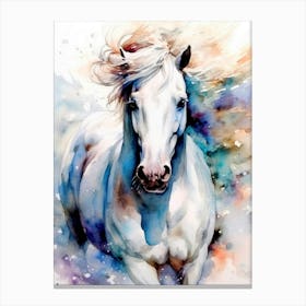 White Horse animal Canvas Print