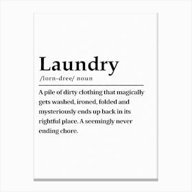 Funny Laundry 1 Canvas Print