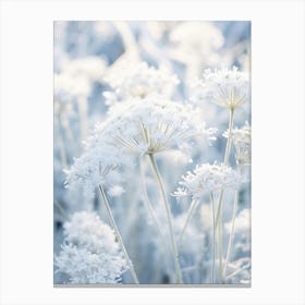 Frosty Botanical Queen Annes Lace 5 Canvas Print