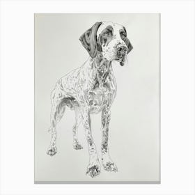 Bluetick Hound Dog Line Sketch 2 Canvas Print