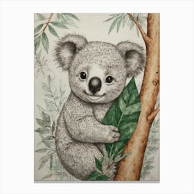 Koala 31 Canvas Print