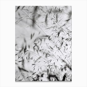 Abstract Black White Grass Canvas Print