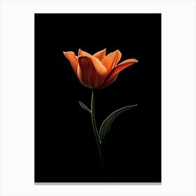 Orange Tulip Canvas Print