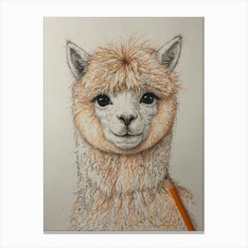 Alpaca 2 Canvas Print