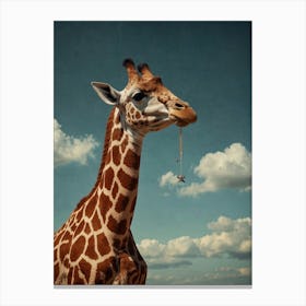 Giraffe 71 Canvas Print