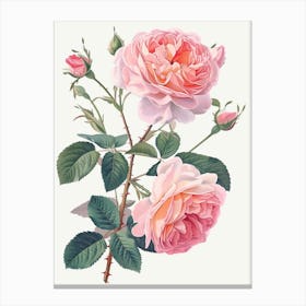 English Roses Painting Sketch Style 2 Canvas Print