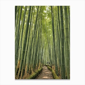 Bamboo Forest Canvas Print