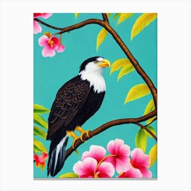 Bald Eagle 2 Tropical bird Canvas Print