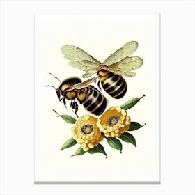 Wax Bees 3 Vintage Canvas Print