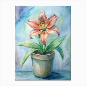 Pink Lily In A Pot Canvas Print