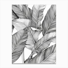 Black And White Drawing Of Banana Leaves Canvas Print