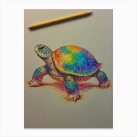 Rainbow Turtle Canvas Print