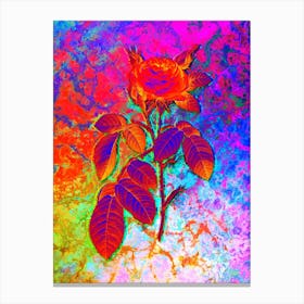Red Gallic Rose Botanical in Acid Neon Pink Green and Blue n.0057 Canvas Print