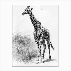 Giraffe In The Grass Pencil Drawing 2 Canvas Print