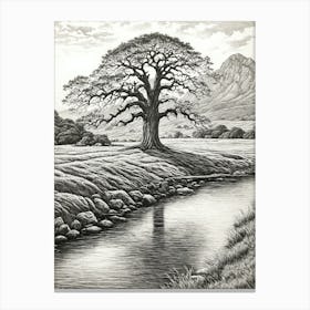 highly detailed pencil sketch of oak tree next to stream, mountain background 9 Canvas Print