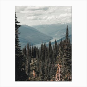Forest Overlooking Lake Canvas Print