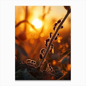 Ant Colony Collaboratively Foraging Under The Glowing Blaze Of A Setting Sun With Elongated Shadows 2 1 Canvas Print