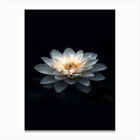 Lotus Flower 14 Canvas Print