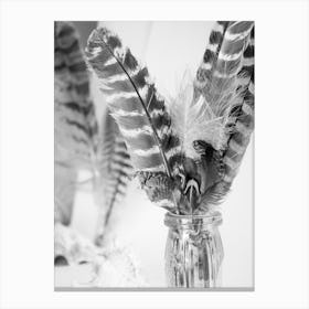 Feathers In A Vase Canvas Print