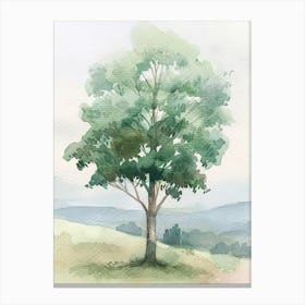 Eucalyptus Tree Atmospheric Watercolour Painting 4 Canvas Print