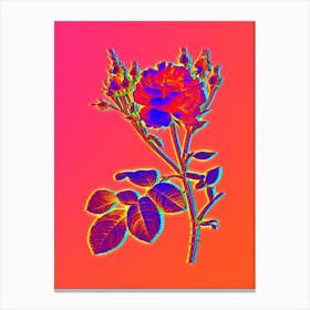 Neon Pink Cumberland Rose Botanical in Hot Pink and Electric Blue n.0503 Canvas Print