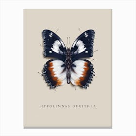 Butterfly No5 Canvas Print
