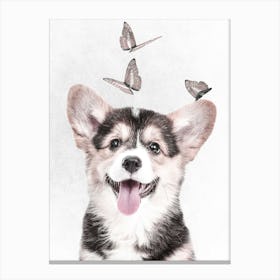 Corgi With Butterflies Canvas Print