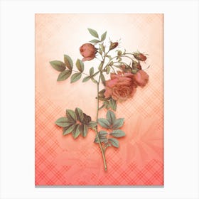 Turnip Roses Vintage Botanical in Peach Fuzz Tartan Plaid Pattern n.0038 Canvas Print