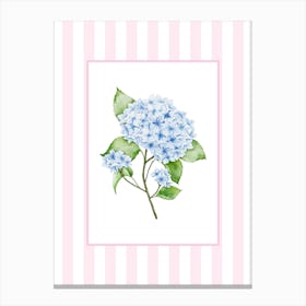 Pink And Blue Hydrangea 1 Canvas Print