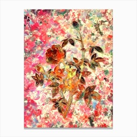 Impressionist Moss Rose Botanical Painting in Blush Pink and Gold n.0016 Canvas Print