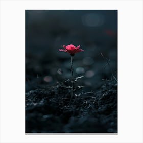 Single Flower In The Dark 29 Canvas Print