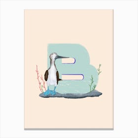 Letter B Booby Canvas Print
