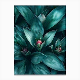 Ivy Illustration 3 Canvas Print