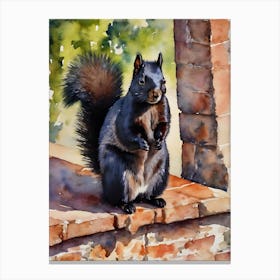 Calabrian Black Squirrel Canvas Print