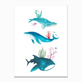 Ocean Creatures Canvas Print