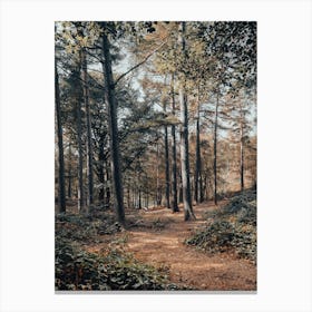 Path In The Woods Canvas Print