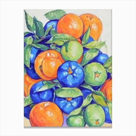 Tangerine Vintage Sketch Fruit Canvas Print