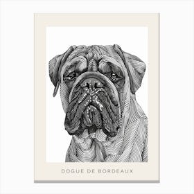 Dogue De Bordeaux Line Sketch 1 Poster Canvas Print