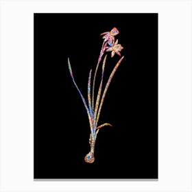 Stained Glass Narcissus Calathinus Mosaic Botanical Illustration on Black n.0061 Canvas Print