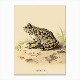 Vintage Toad Poster Canvas Print