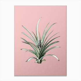 Vintage Pineapple Botanical on Soft Pink Canvas Print