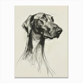 Spaniel Doberman Dog Charcoal Line 3 Canvas Print