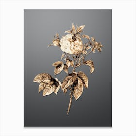 Gold Botanical Pink Agatha Rose on Soft Gray n.2515 Canvas Print