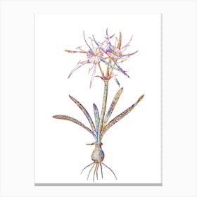 Stained Glass Streambank Spiderlily Mosaic Botanical Illustration on White n.0328 Canvas Print
