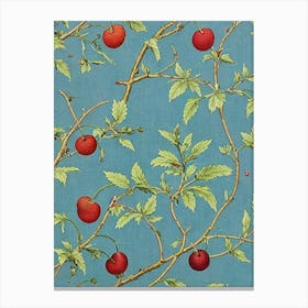 Cherry tree Vintage 2 Botanical Canvas Print