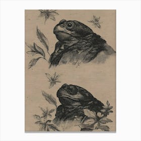 Frogs Canvas Print