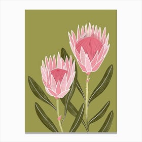 Pink & Green Protea 3 Canvas Print