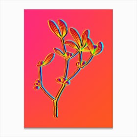 Neon Viscum Album Branch Botanical in Hot Pink and Electric Blue n.0593 Canvas Print
